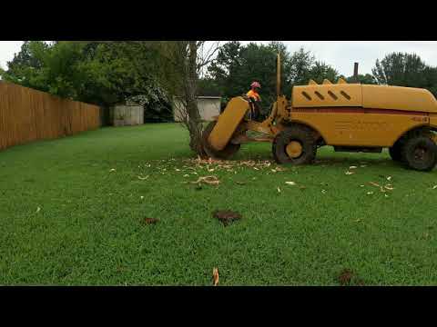 The Best Way to Remove A Stump