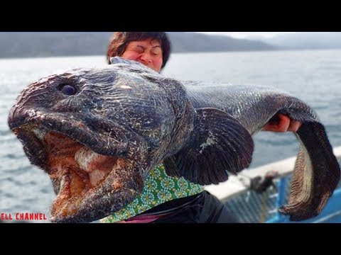5 იშვიათი არსება რომელზეც შესაძლოა არც კი გსმენიათ ნაწილი #3