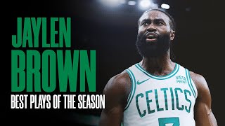 Best of Jaylen Brown in 202324 NBA Regular Season