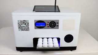 How To Print 12 Pcs Golfball Together