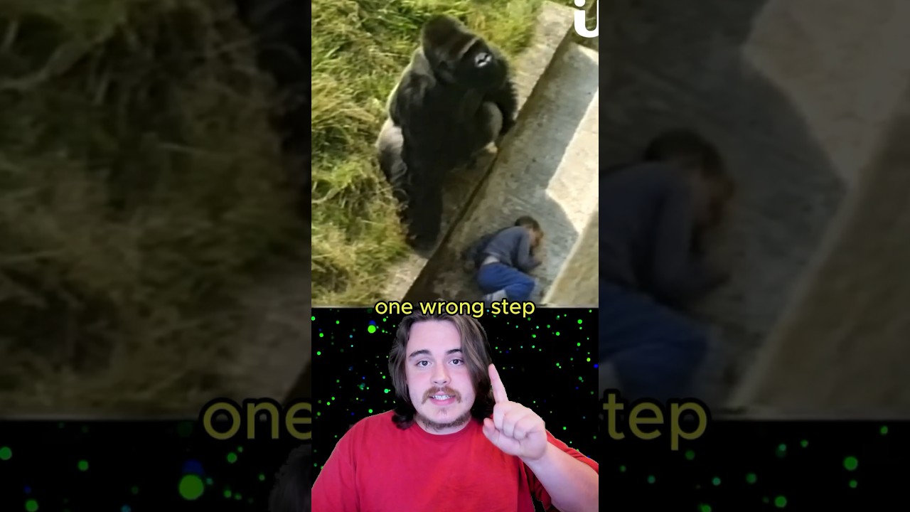 Hero Gorilla is a REVERSE Harambe 🦍