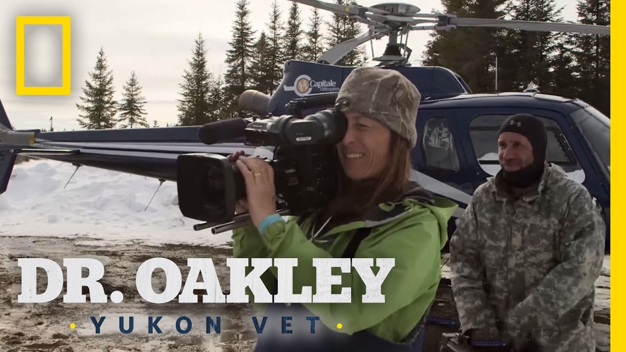 Yukon Vet Cameraman (Behind the Scenes) | Dr. Oakley, Yukon Vet - YouTube