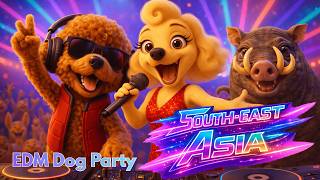 DJ Toby – South-East Asia 🌏🔥 | EDM Party Anthem (Official Music Video)