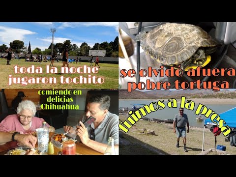 Fuimos a la presa, pobrecita la tortuga+ se le salió el brazo jugando ...