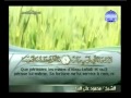 Sourate  les fibres almasad sous titre en franais