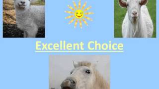Rigney OLCP Module 11 13 2015 Narrated Presentation 2
