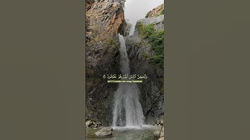 القران الكريم Quran karim #القرآن_الكريم #اكسبلور #تلاوة_خاشعة #quran #explore