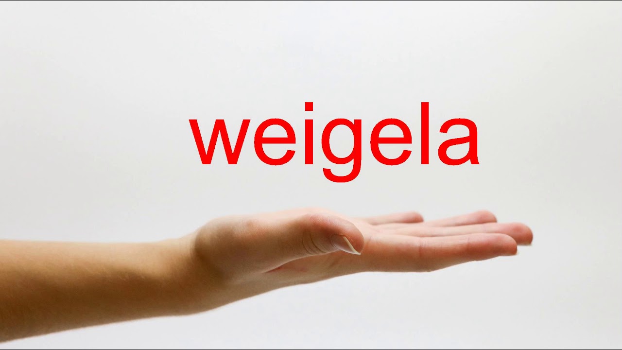 How to Pronounce weigela - American English - YouTube