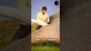 Fil Dişi Neden Çok Değerlidir?