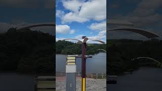 명덕호수공원 영상