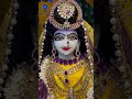  todays darshan of sri sri radha govinda gaurnitai and srila prabhupada  april 24th 2024 