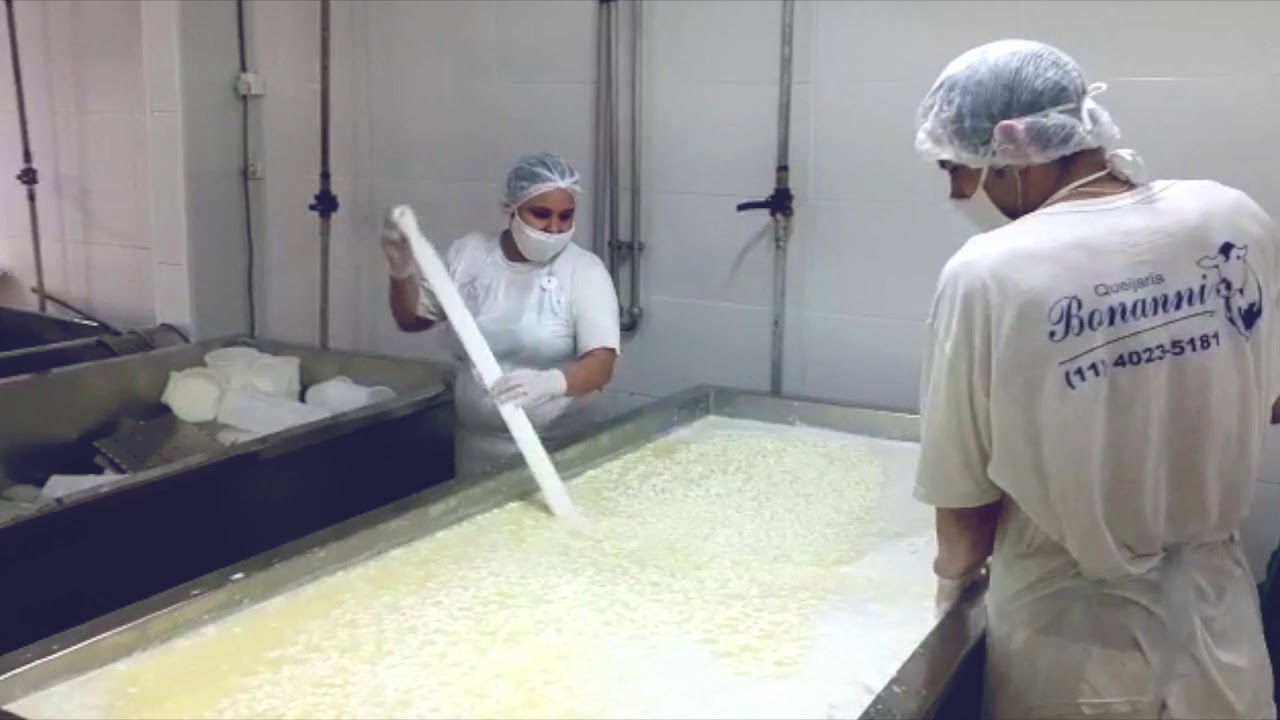 PRODUÇÃO DE QUEIJO FRESCO EM LARGA ESCALA