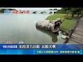 大遷移? 350公斤河馬雕像位移40米 暴雨泡水 雨太大河馬雕像游泳去 創作者笑:牠只是很熱｜三立新聞LIVE