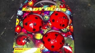 Bonus Clip Lady Bugs By Boomer Fireworks