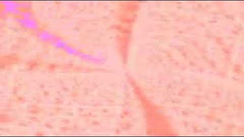 سورة الماعون بصوت الشيخ القارئ سعود الشريم