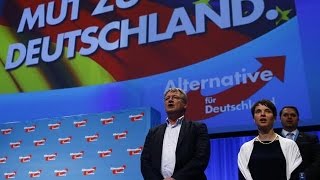 Afd Nein Zum Islam - Ja Zu Muslimen