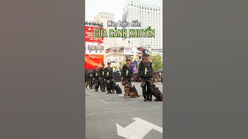 Màn biểu diễn cảnh khuyển tại chương trình Vinh quang Công an Nhân dân Việt Nam!