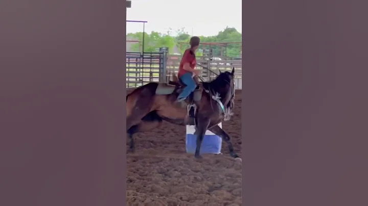 AGHHH swagger is so cool!!!!!!! #PerksinStyle #avawegley #fypシ #barrelracer #rodeo