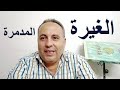 فى غيرة تحبها وغيرة تقرف منها فى غيرة تحبها وغيرة تقرف منها