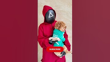 Khi Người Chơi 222 Squid Game Có Con | Sheep #shorts