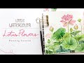 How to draw and paint Lotus Flowers