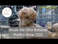 Inside the ohio national poultry show 2022