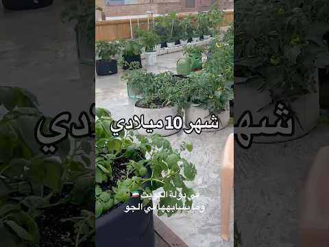 20 نبتة تستطيع زراعتها في شهر 10 ميلادي الزراعة اكسبلور الزراعة المنزلية الزراعة العضوية