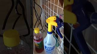 DIY Froth Flotation Cell