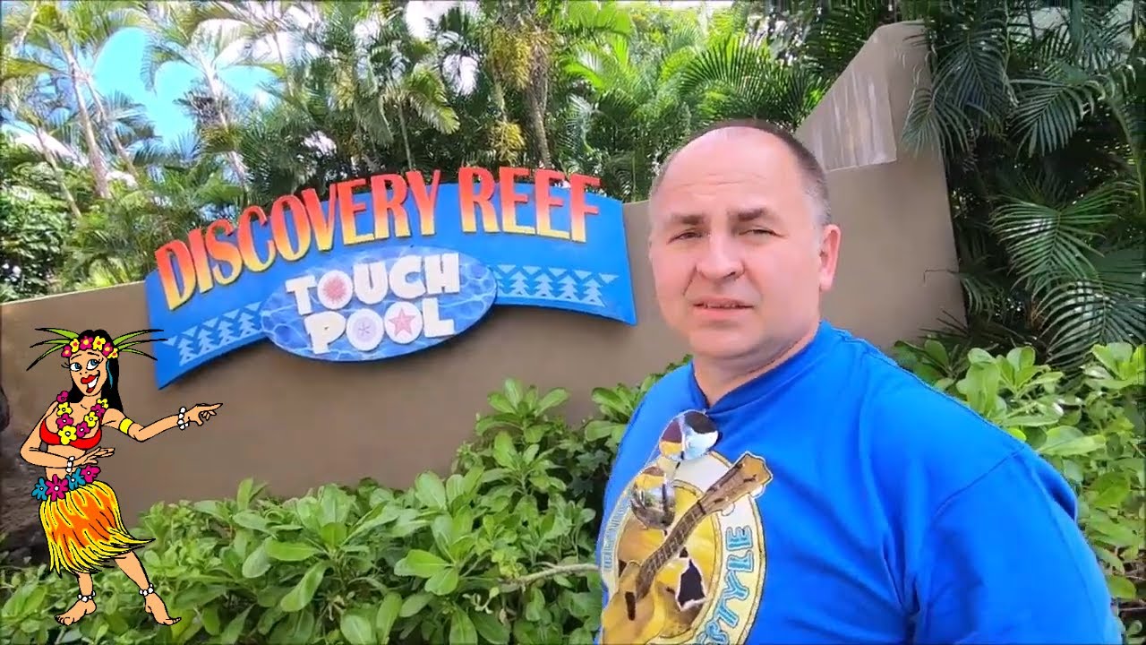 Дискавери Риф сенсорный бассейн / Sea Life Park Discovery Reef Touch Pool / Hawaii Oahu (4 часть)