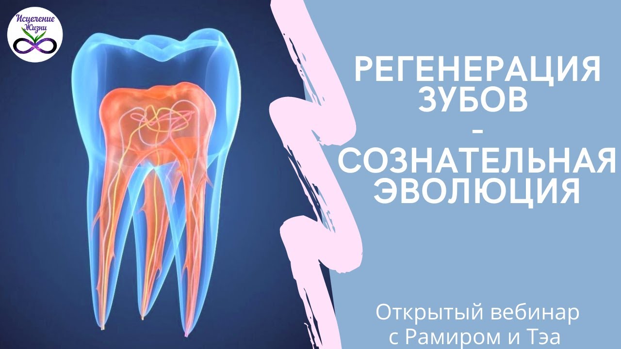 Исцеления зубов. Самовосстановление зубов.