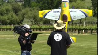 ABC Master of Champions, Aeroworks Extra 260 104