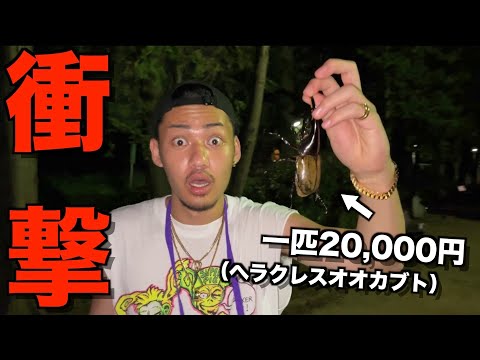 【少年心】地元の公園に超高級カブトムシいるドッキリ仕掛けたら喜びすぎて爆笑したwwwwwwww