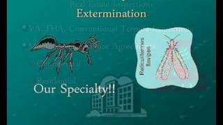 Pest Control in Akron, Oh