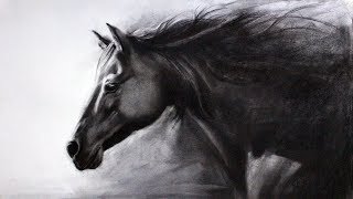 Horse |  Charcoal Drawing | Time Lapse Video