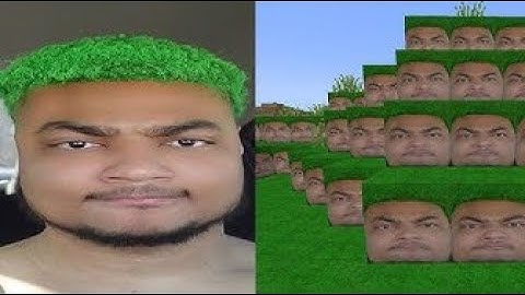 I DONT LOOK LIKE A MINECRAFT DIRT BLOCK!! 💀