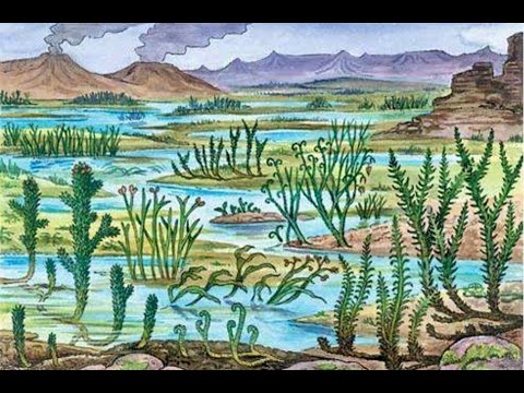 Видео: Эволюция растений