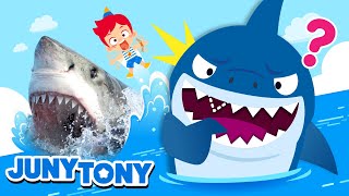 *NEW* Sharks, Assemble! | Fun Facts About Sharks | Animal Songs | Kids Songs \& Stories | JunyTony