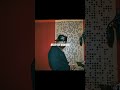 Asake - Worship