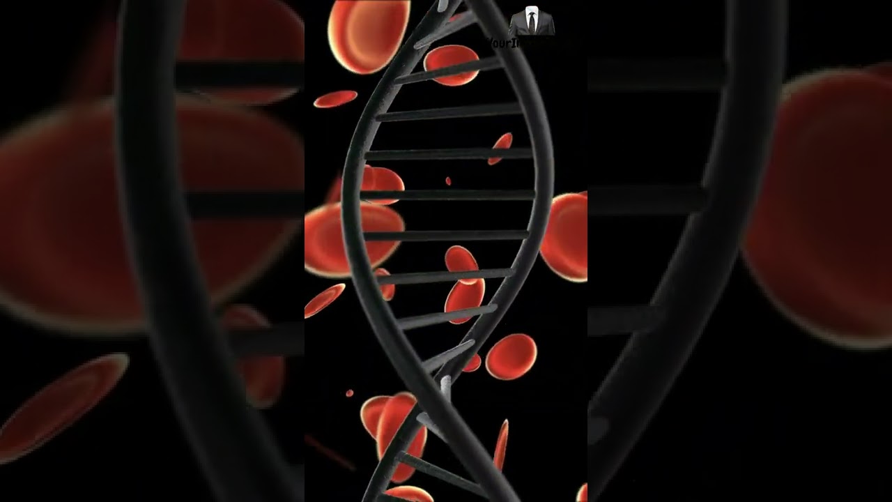 Digital photos be stored as DNA - Career in Data -YourindianHR - 