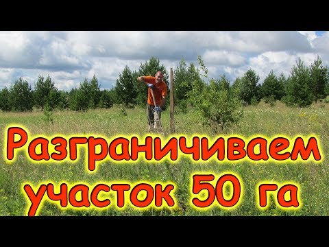 Отмечаем границы на нашем участке 50 га. Сбор клубники. (07.17г.) Семья Бровченко.