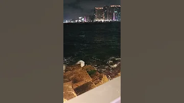 انت عمري أم كلثوم 