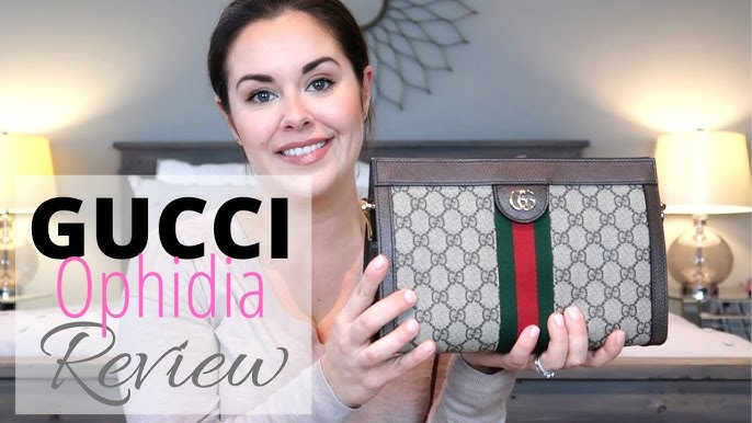 LOUIS VUITTON ALMA BB VS GUCCI OPHIDIA REVIEW & COMPARISON ~ WHICH