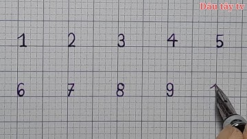 Dạy Bé Viết Số từ 1 Đến 10 trên Vở Ô Ly | Bé Đếm Số Từ 1 Đến 10 | Dâu tây tv