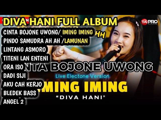 DIVA HANI - CINTA BOJONE UWONG HEHE HAHA | IMING IMING FULL ALBUM class=