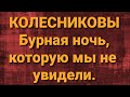 Семья Колесниковых/Новости из Дворца.