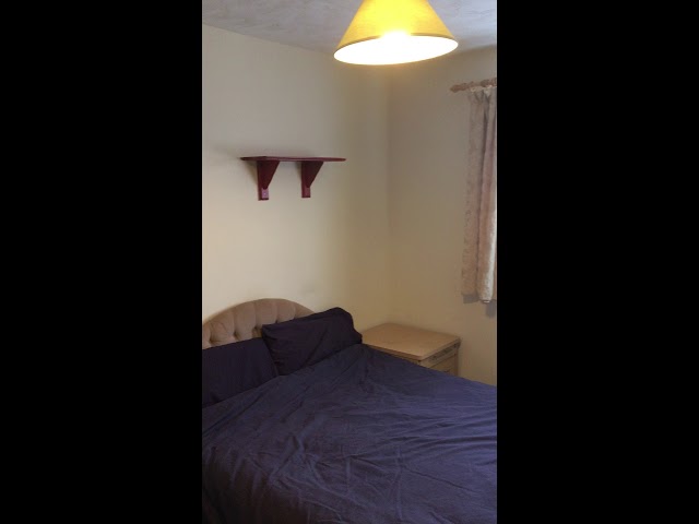 Video 1: