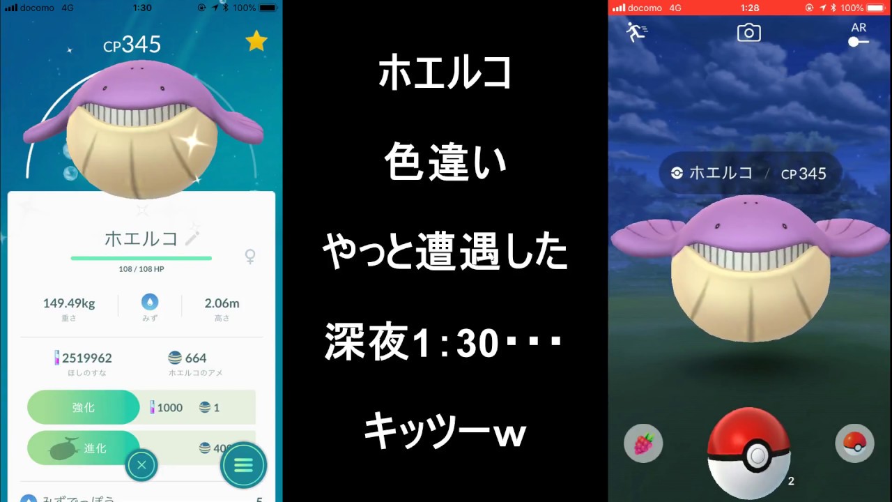 ホエルコ色違いゲット ポケモンgo Youtube ホエルコ色違いゲット ポケモンgo Youtube