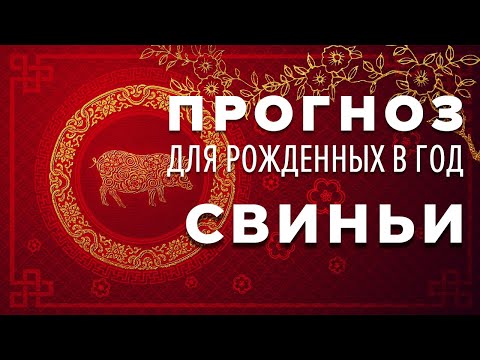 Прогноз фен шуй гороскоп 2020 Свинья китайский календарь