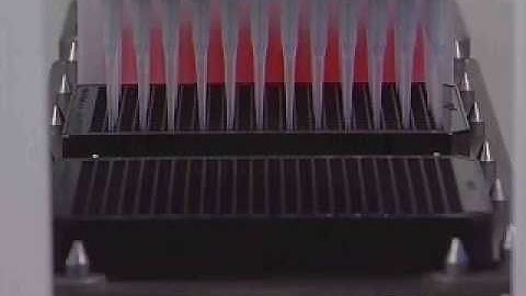 Biomek FX 96 MC head pipetting into two 384 well MT plates.