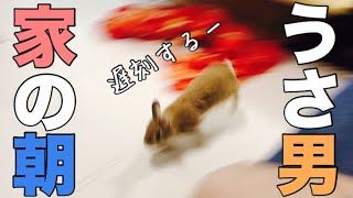 うさ男家の朝は早い！ #455